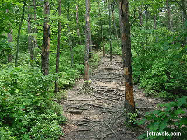 The paths to the overlooks were well taken care of, and one was even handicap accessable, at Breaks Interstate Park.
